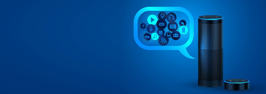 Alexa Skill Development