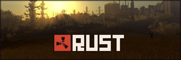 Rust Developer Poster